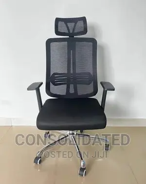 Executive Office Mesh Chair
