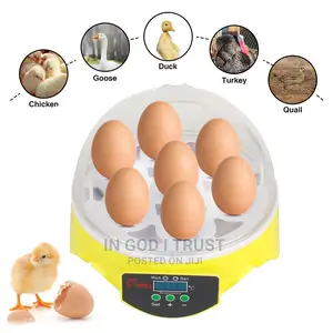 Adjustable Digital Temperature 7 Egg Poultry Incubator