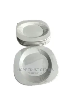 6pcs Melamine Plate