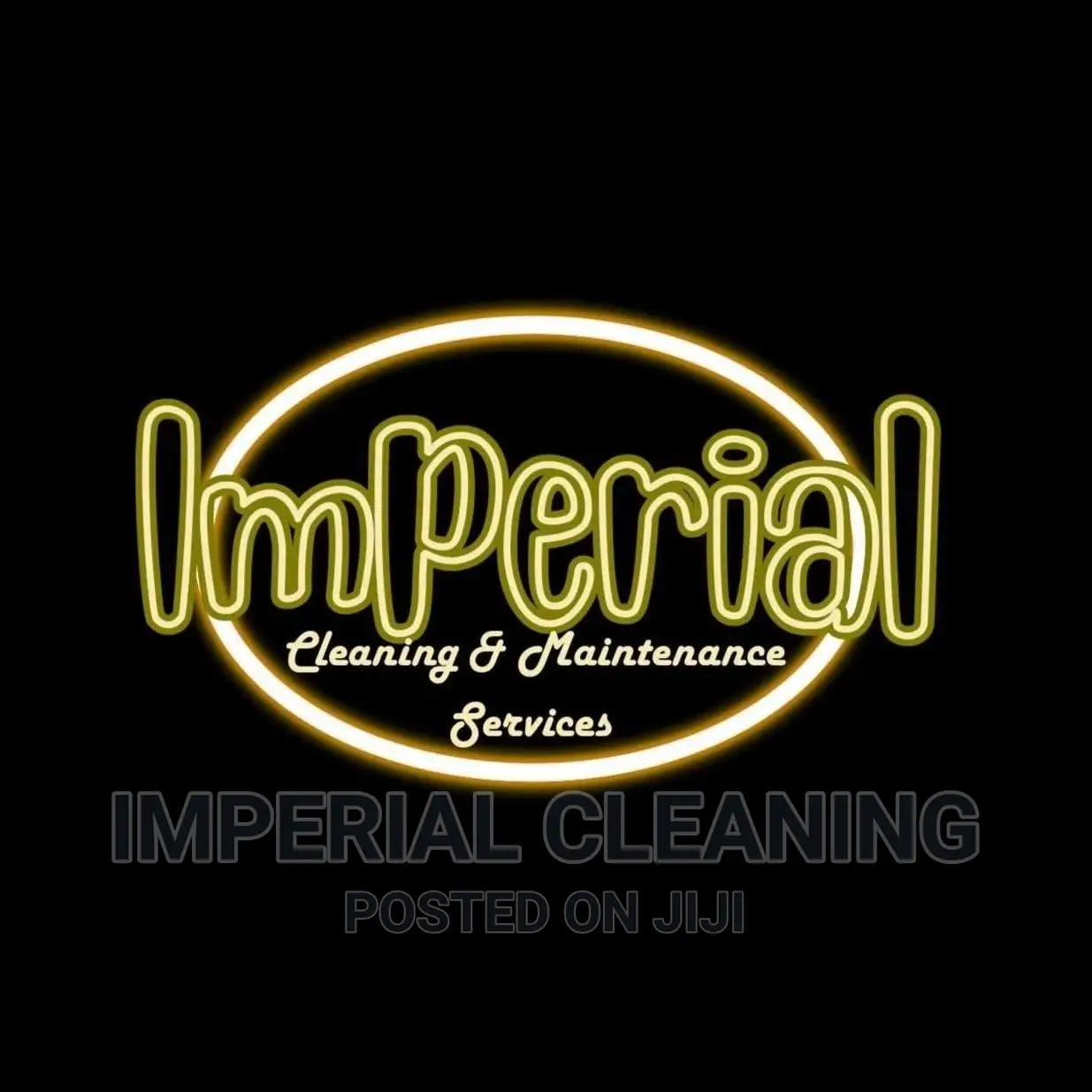 Professional Cleaners