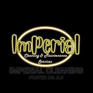 Professional Cleaners