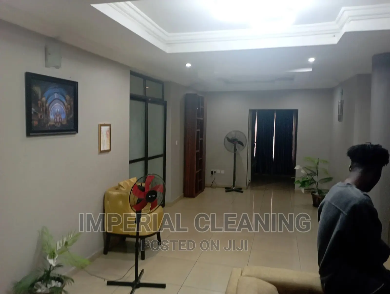 Professional Cleaners