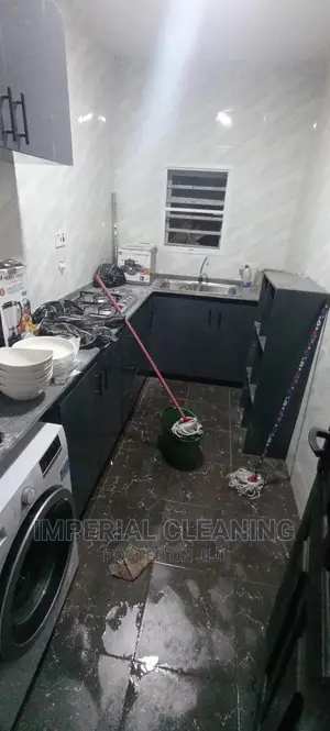 Professional Cleaners