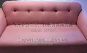 Sofa Cleaning / Couch