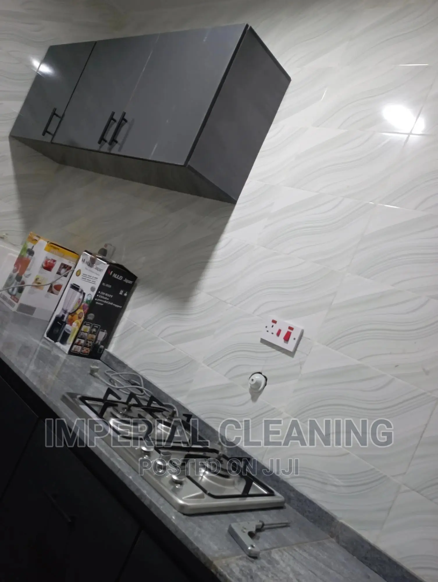 Professional Cleaners