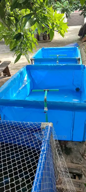 Mobile Hatching Fish Pond