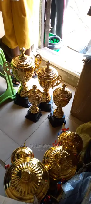 Complete Set of Trophies