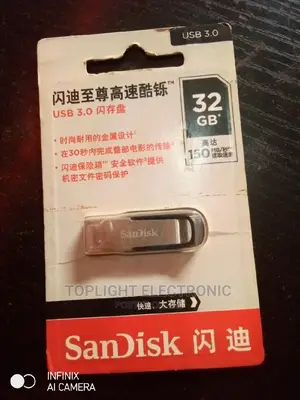 Sandisk Flash Drive