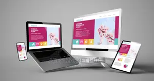 Website Design ( Web Design/ Development)