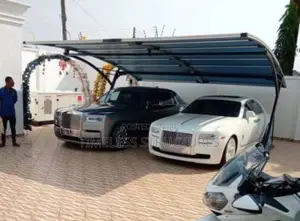 Imported Exotic Car Ports