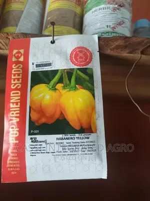Habanero Yellow 1000seed Pack
