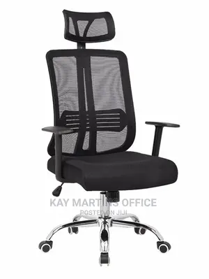 Executive Mesh Directors Chair With Back Support And Control