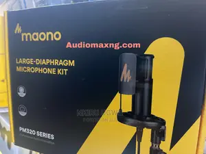 Studio Condenser XLR Microphone