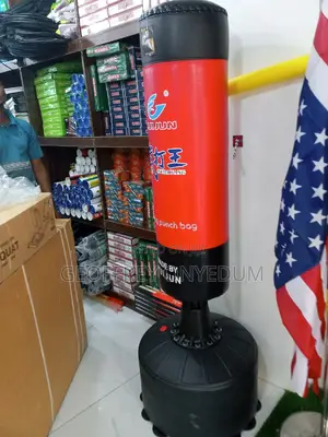 Standing Punching Bag