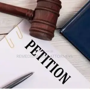 Human Rights Lawyer
