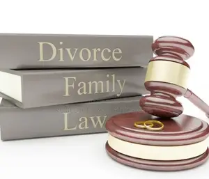 Divorce, Child Custody and Adoption Lawyer