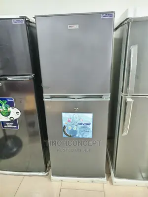 Skyrun Refrigerator 300l With Low Voltage Compressor