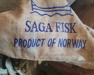 Stuck Fish