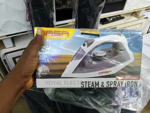 Qasa Steam Spray Iron