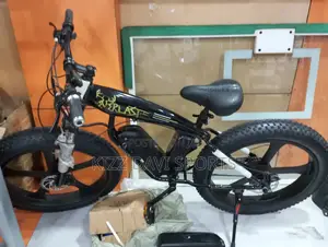 Bicycle Big Tire and Battery