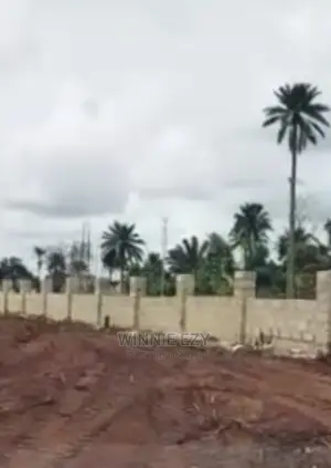 Affordable Dry Land at Ogwashi-Uku
