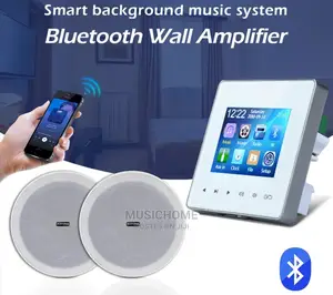 Inwall Bluetooth Amp With Remote, USB and 2 Speakers