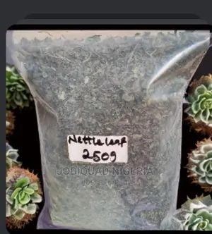 Stinging Nettle Treat Arthritis Lower Back Pain 250g
