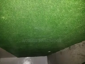 Artificial Grass Carpets Installations Services