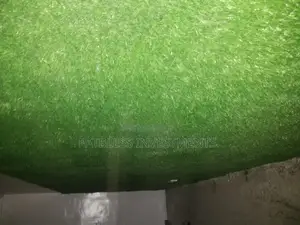 Artificial Grass Carpets Installations Services