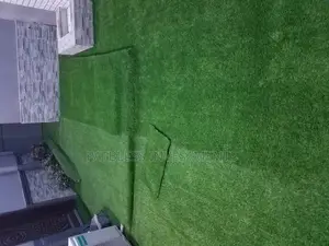 Artificial Grass Carpets Installations Services
