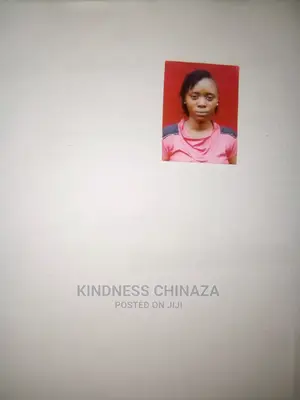 Housekeeping Cleaning CV