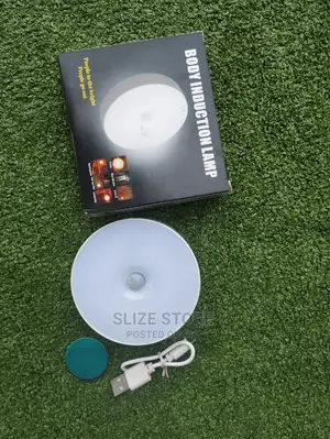 Body Induction Light