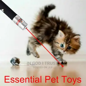 1pcs High Power Laser Pointer Red