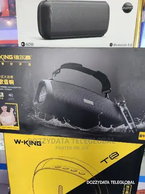 Wking D10 Large Output 60w Bluetooth Speaker With Mic
