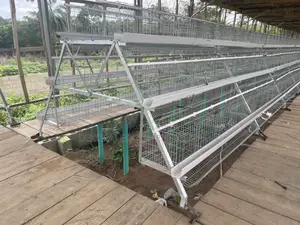 Dekoraj Premium Hot Dip Imported Cage 120capacity For Farmer