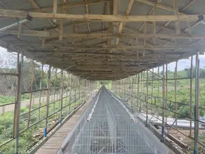 120 Birds Imported Cage Sellers in Nigeria