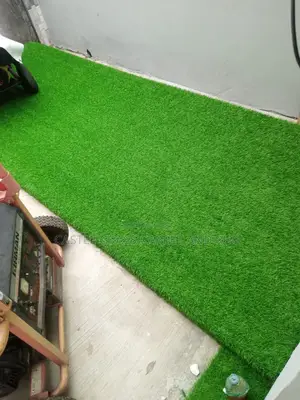 Turkish Carpet Grass All Mm Available 10,15,20,25,30,35,4045
