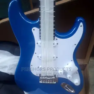 Professional Lead Electric Guitar