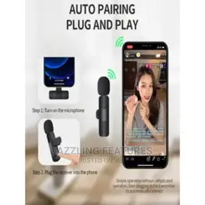 Double Mic Lapel Microphone