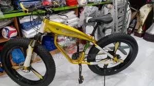BMW Bicycles Big Tire
