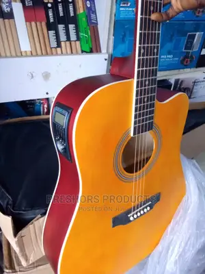 Semi Acoustic Guitar