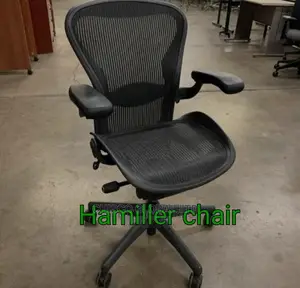 Office Chair {Hamiller}
