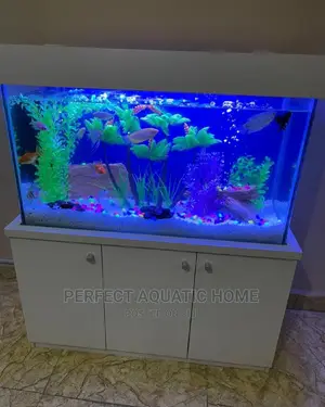 Unique Aquarium 4ft Length