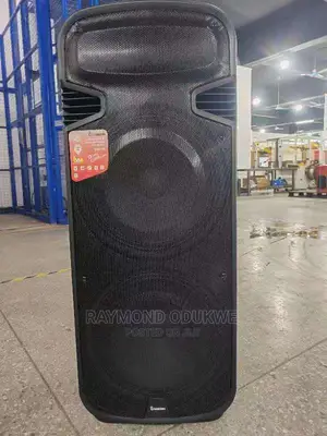 Double 15" Inches Rechargeable Wireless PA System