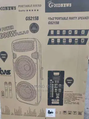 Double 15" Inches Rechargeable Wireless PA System