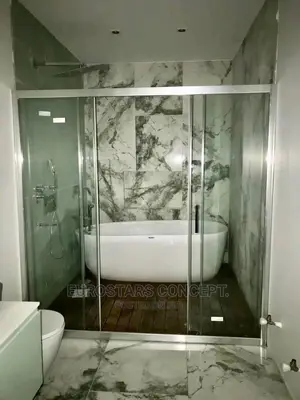 Shower Double Glass Door