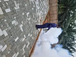 Gaseous Fumigation Service