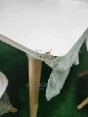 Sitt Out Table