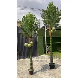 Artificial Flowers/Plants | Fake Coconut Palm Tree for Sale