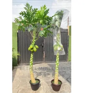 Fake 230cm Pawpaw Tree for Sale in Ikeja Lagos